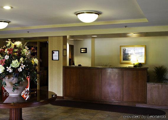 Holiday Inn Baltimore BWI Airport, An Ihg Hotel Линтикам Интерьер фото